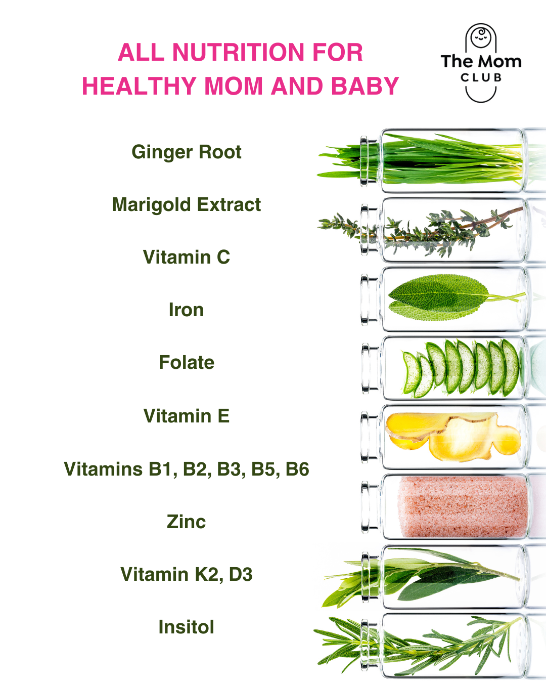 1st Trimester Essentials – Ease Nausea & Support Growth