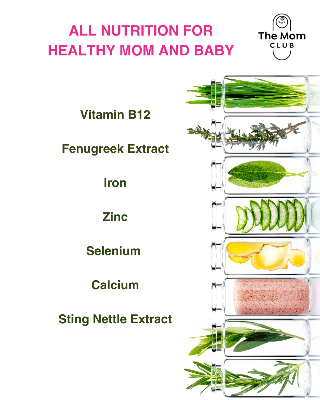 Breastfeeding Support – For Milk Supply, Energy & Recovery