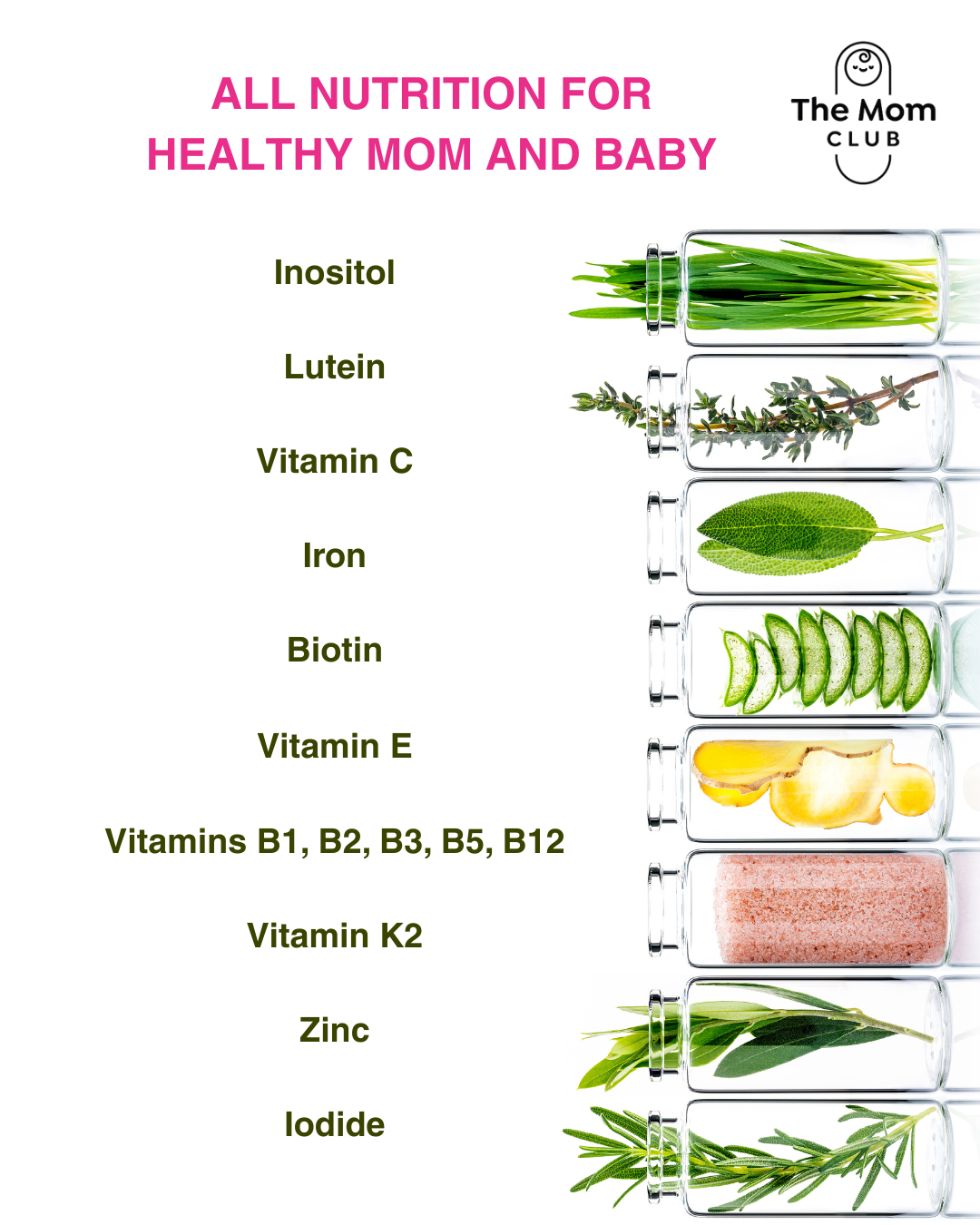 2nd Trimester Support – Energy, Immunity & Baby Growth
