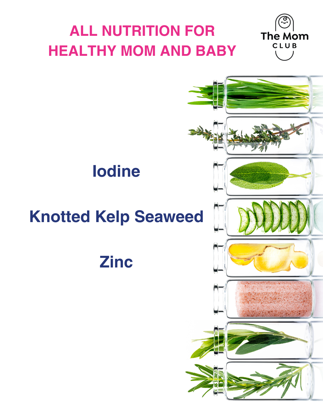 Postnatal Hair Support – Strengthen, Regrow, Restore